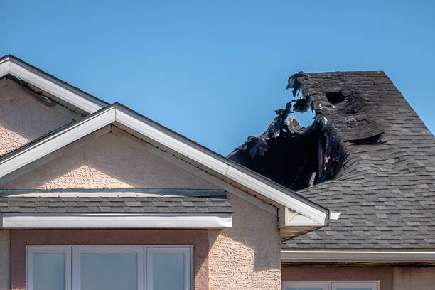 Licensed Content Restoration service in Washington Grove, MD - Fire Damage Biloxi